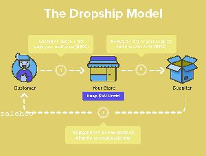 Are Payment Options Included With a Salehoo Store